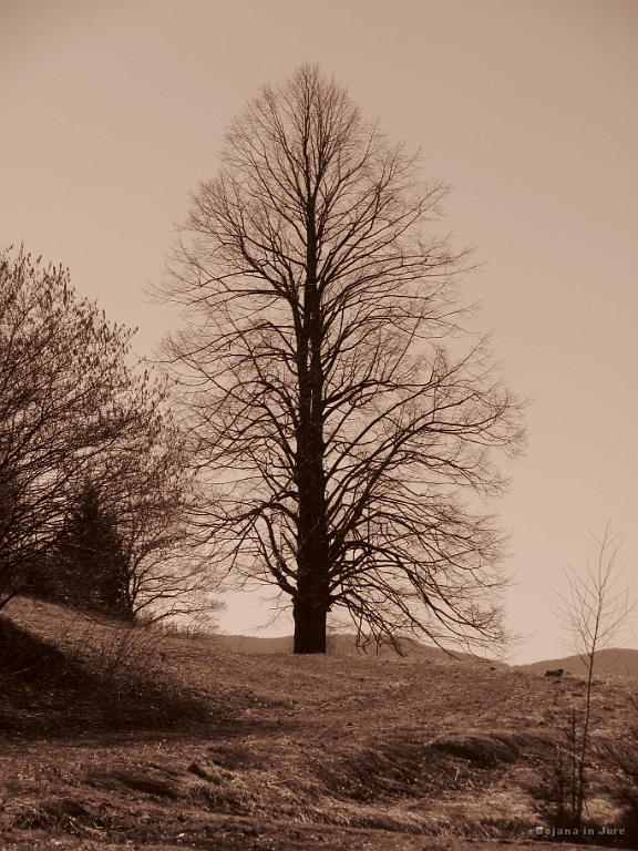 Slika_46.jpg - Utrinek.