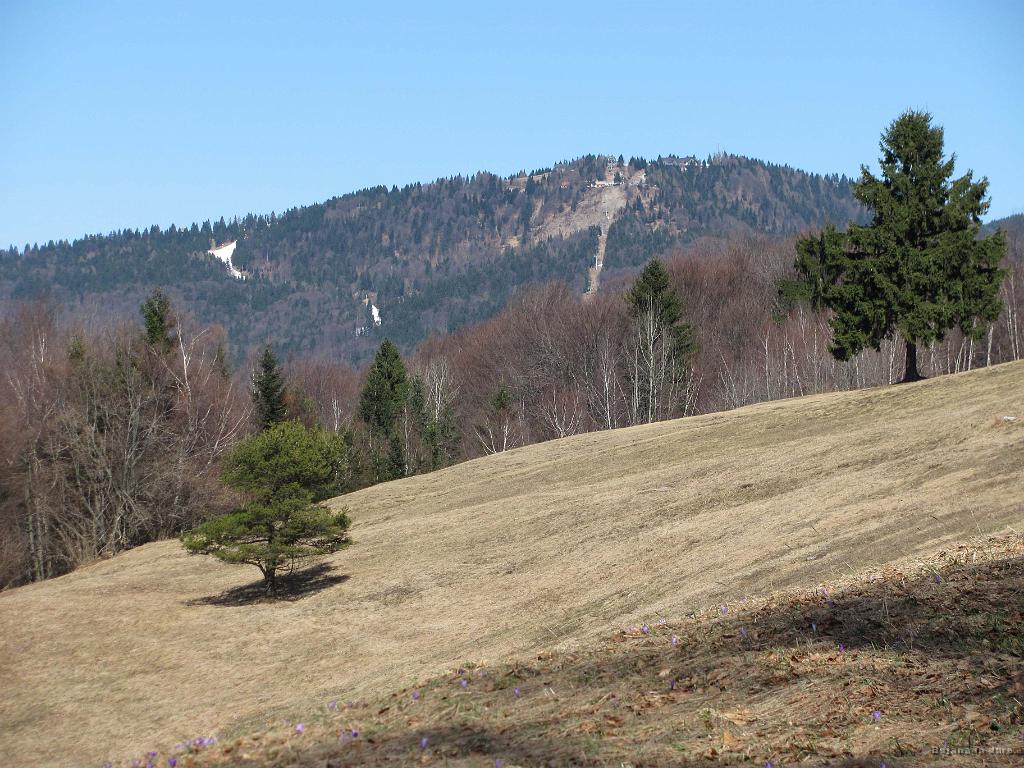Slika_50.jpg - SC Cerkno.