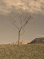 Slika_07