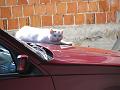 Slika_32