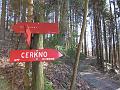 Slika_65