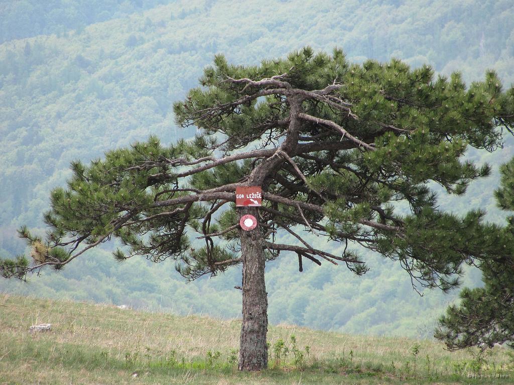 Slika_13.jpg - Narobe svet!