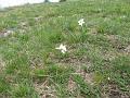Slika_02