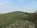 Slika_07