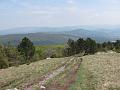 Slika_21