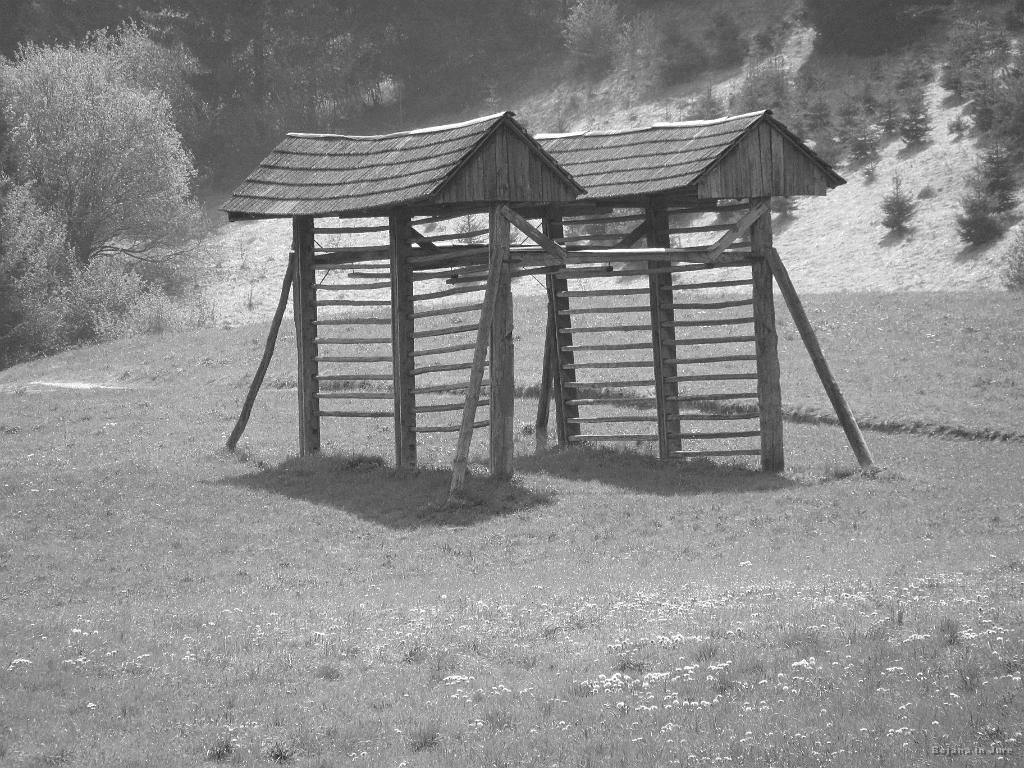 Slika_11.jpg - Kozolec in kozolka ;)