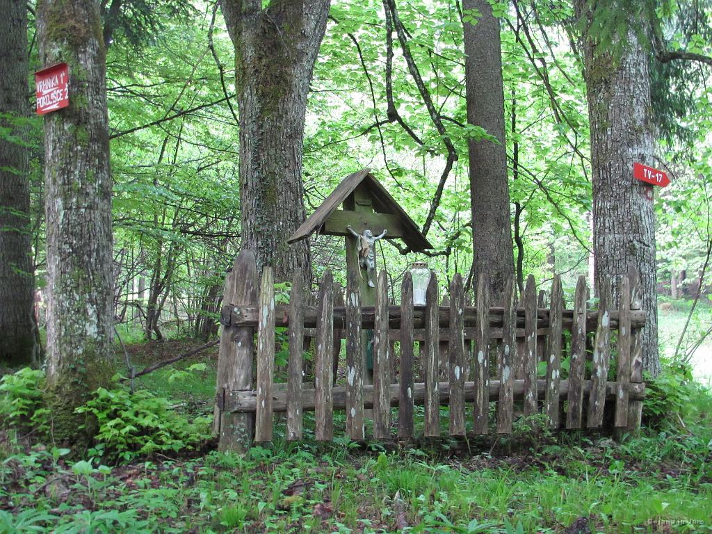 Slika_09.jpg - Bogec...