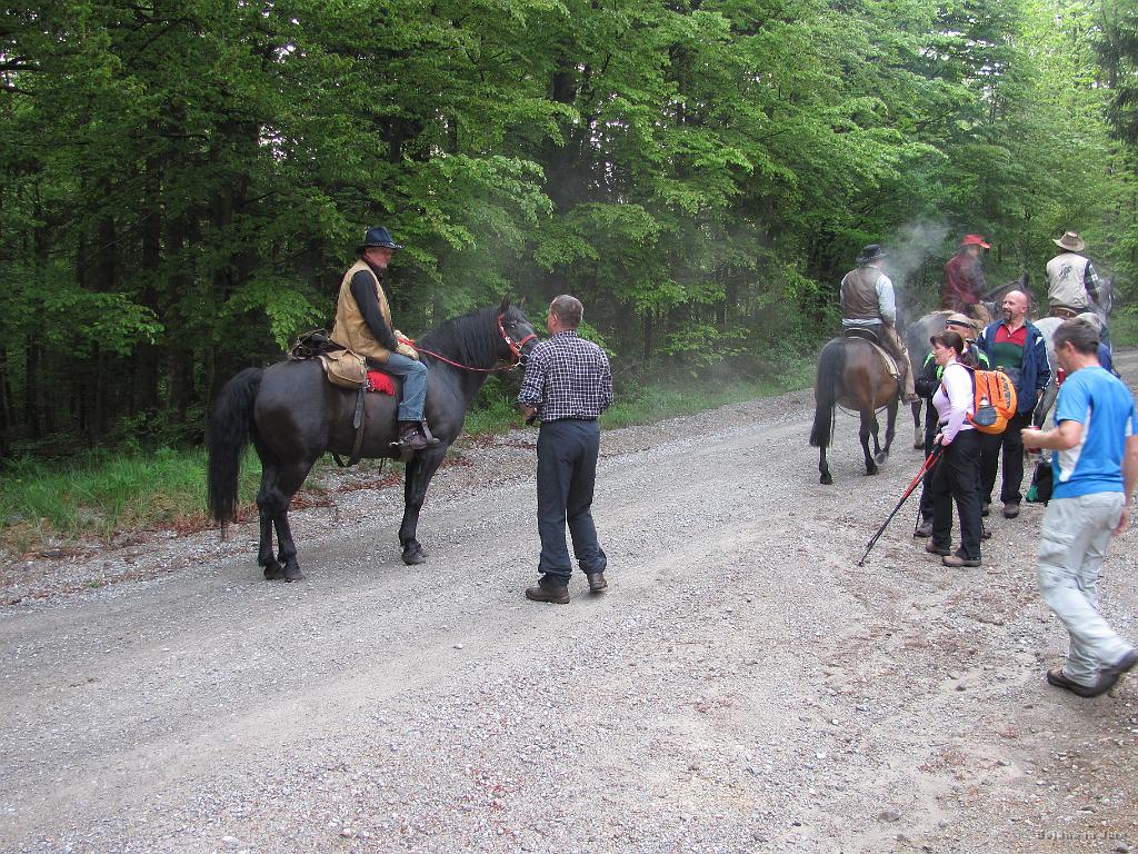 Slika_11.jpg - Nekateri so imeli pa bolj lagoden pohod.