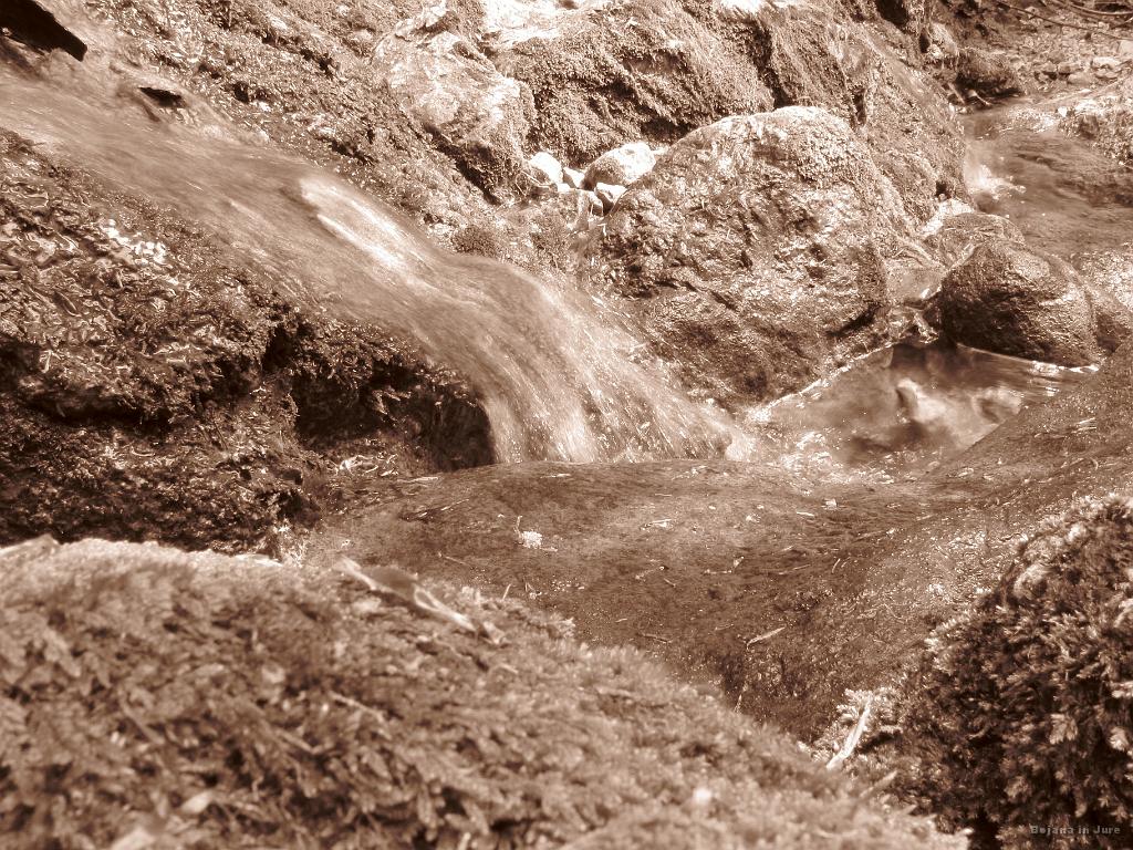 Slika_38.jpg - Utrinek.
