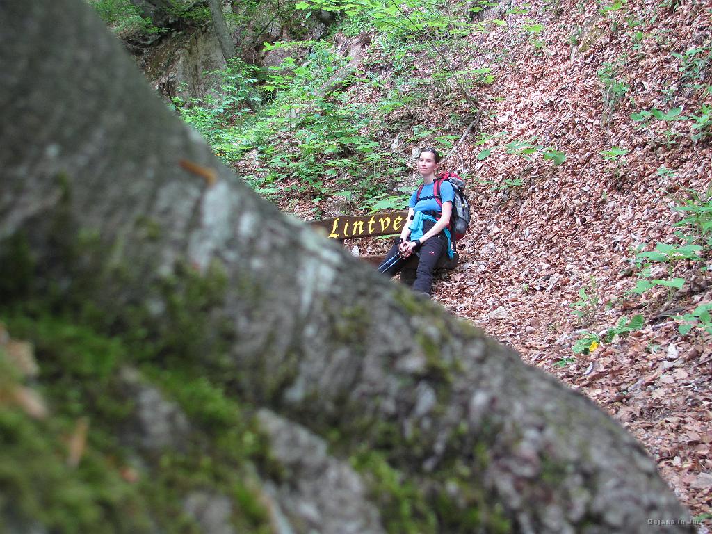 Slika_40.jpg - Škoda, ker nisem postavil foto na stojalo.