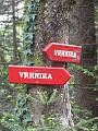 Slika_16