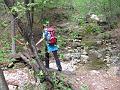 Slika_36