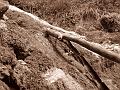 Slika_37