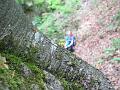 Slika_39