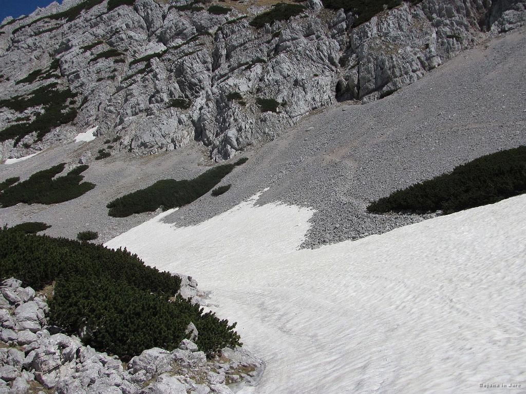 Slika_31.jpg - Iz ruševja skreneva na melišče. Sicer bi pa verjetno lahko že do tu prišla po melišču, pa nimava pojma kje skreniti.