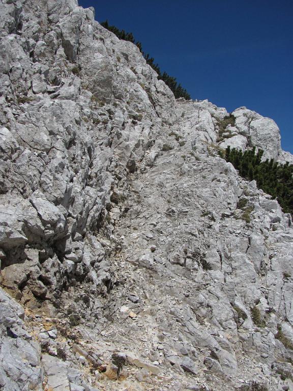 Slika_66.jpg - Začetek vzpona na Zelenjak.