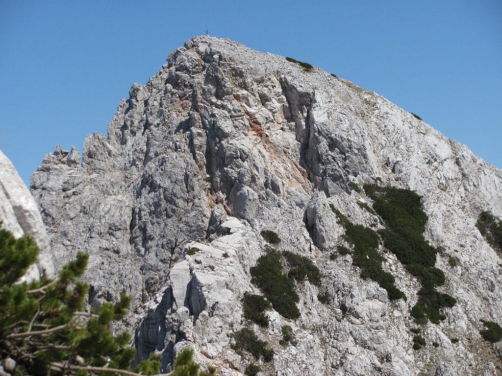 Slika_67.jpg - Palec.