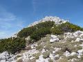 Slika_43