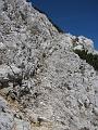 Slika_66
