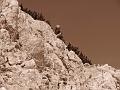Slika_83