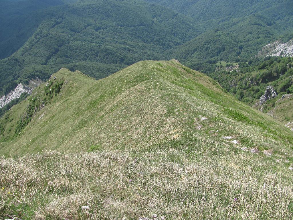 Slika_62.JPG - Spust po grebenu med M. in V. Muscem. Žmavcarji II.
