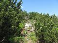Slika_38
