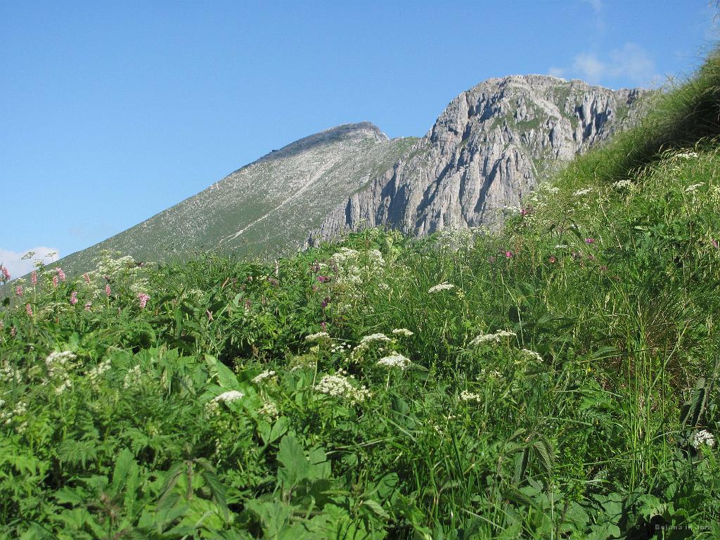 Slika_40.jpg - Sedlo med M. in V. Stadorjem in pogled proti Krnu, kamor sva tudi namenjena.
