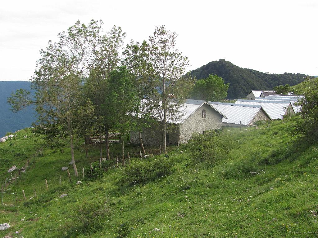 Slika_93.jpg - Planina Slapnik na poti med pl. Zaslap in pl. Kuhinja.