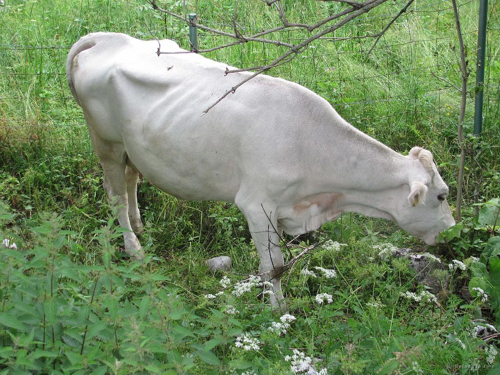 Slika_97.jpg - Lepe so!
