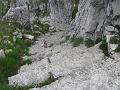 Slika_81