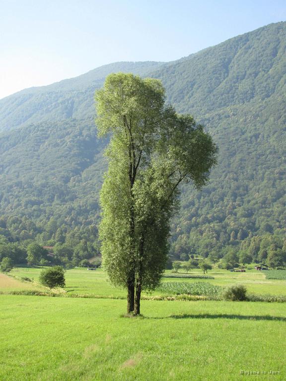 Slika_07.jpg - Utrinek.