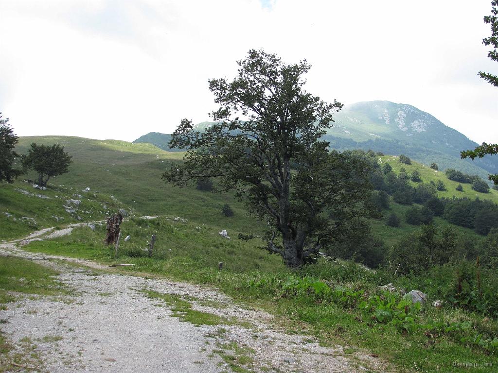 Slika_30.jpg - Pogled nazaj proti grebenu, kjer se skriva nedavno nazaj osvojeni Kobariški (Breginjski) Stol.