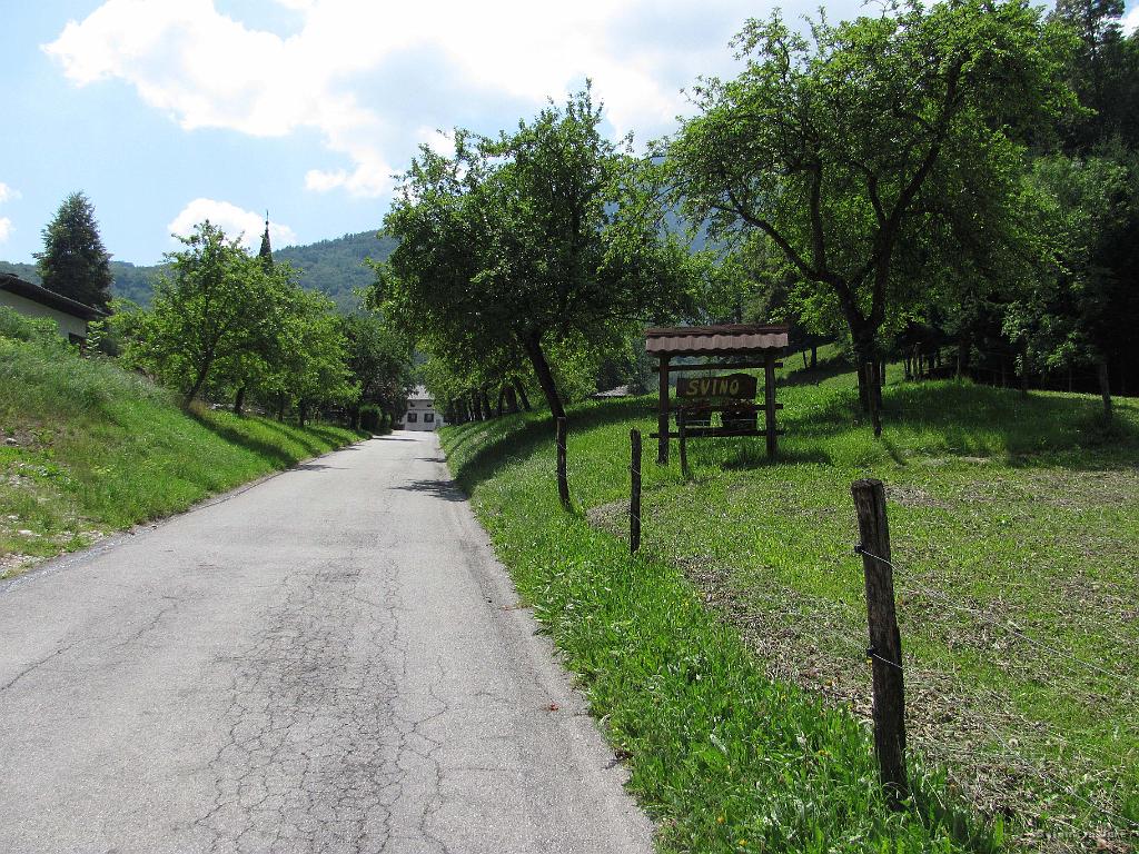 Slika_79.jpg - V Svino. Idilično.