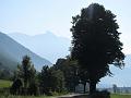 Slika_06