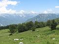 Slika_26