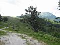Slika_30