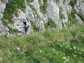 Slika_38