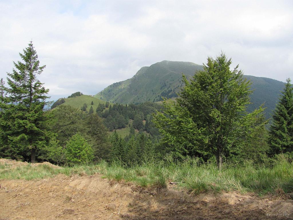 Slika_16.jpg - Tik nad Medrcami, ko so klanci obrnjeni že skoraj na drugo stran, se pokaže tudi sonček.