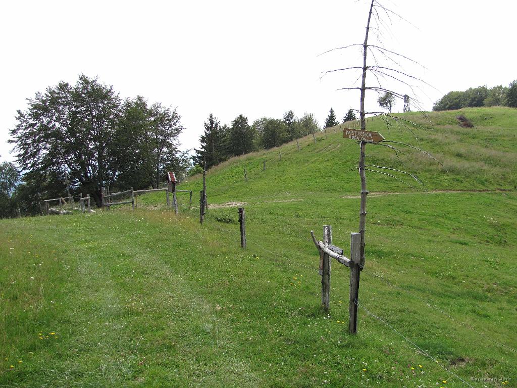 Slika_49.jpg - Otavnik.