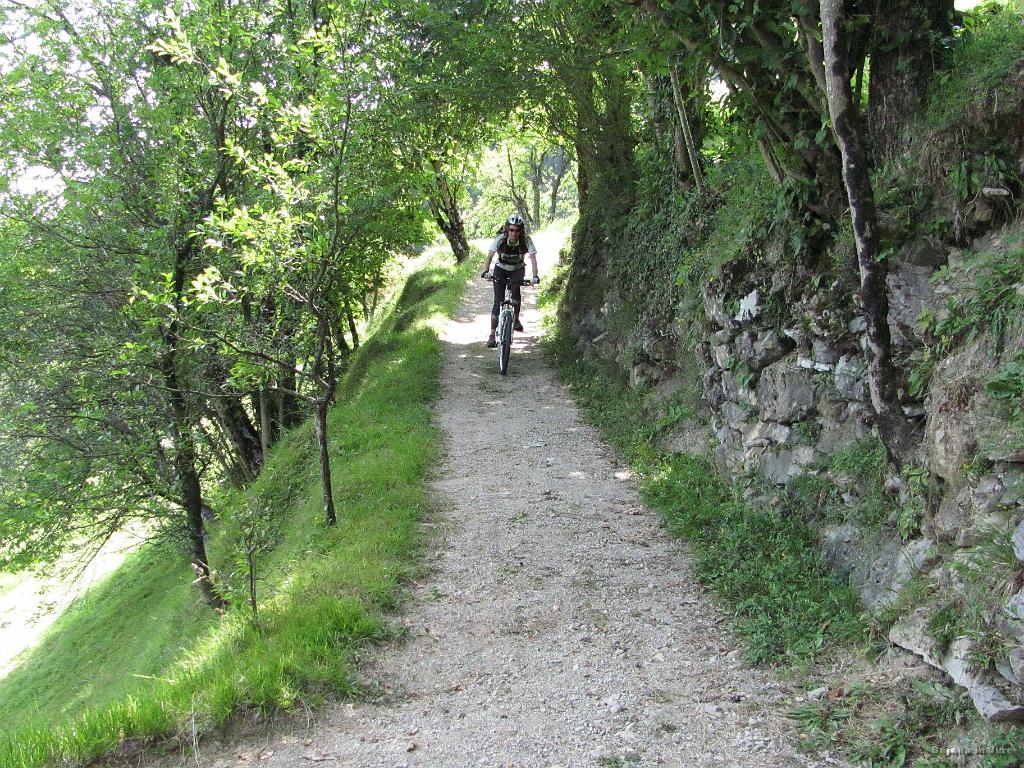 Slika_58.jpg - Lepa pot!