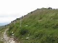 Slika_26