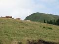 Slika_41