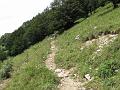 Slika_47