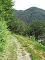 Slika_59