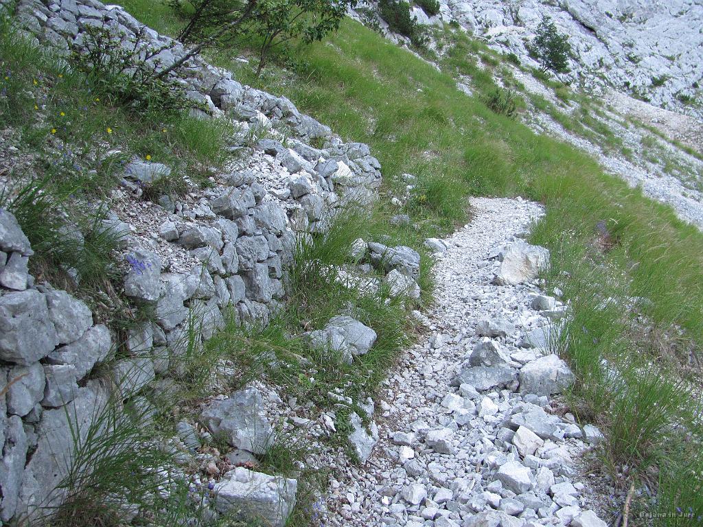 Slika_016.jpg - Mulatjera je v odličnem stanju.
