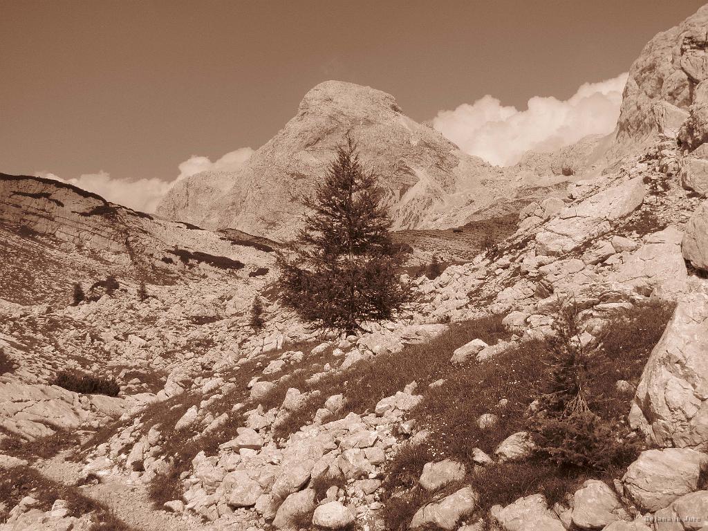 Slika_156.jpg - Utrinek.