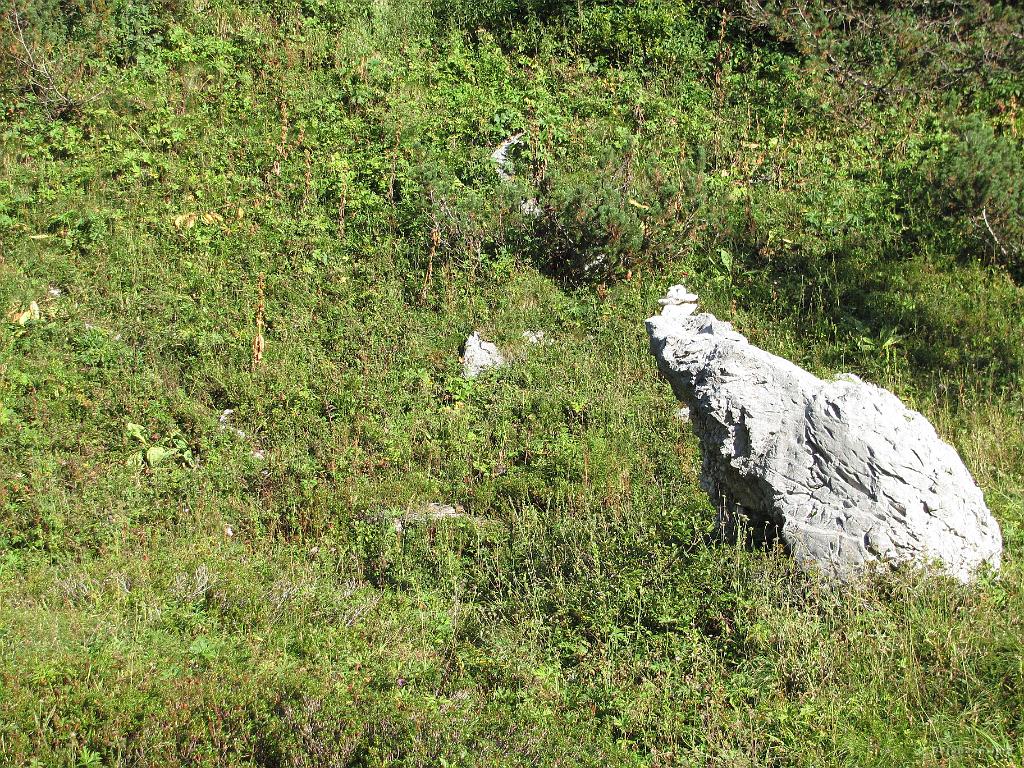 Slika_194.jpg - Možički naju opomnijo, da je tu nekje poetka za Zadnjiški Ozebnik.