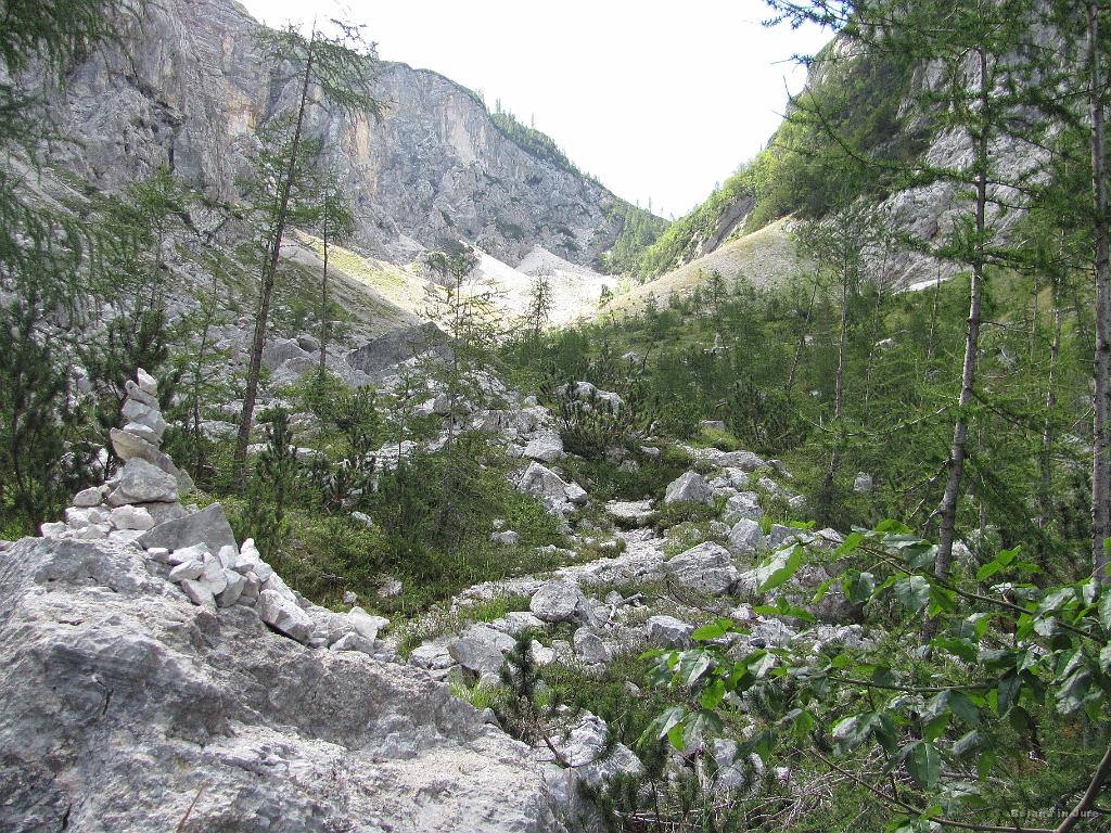 Slika_220.jpg - Tu se pa da tudi lepo smučati.