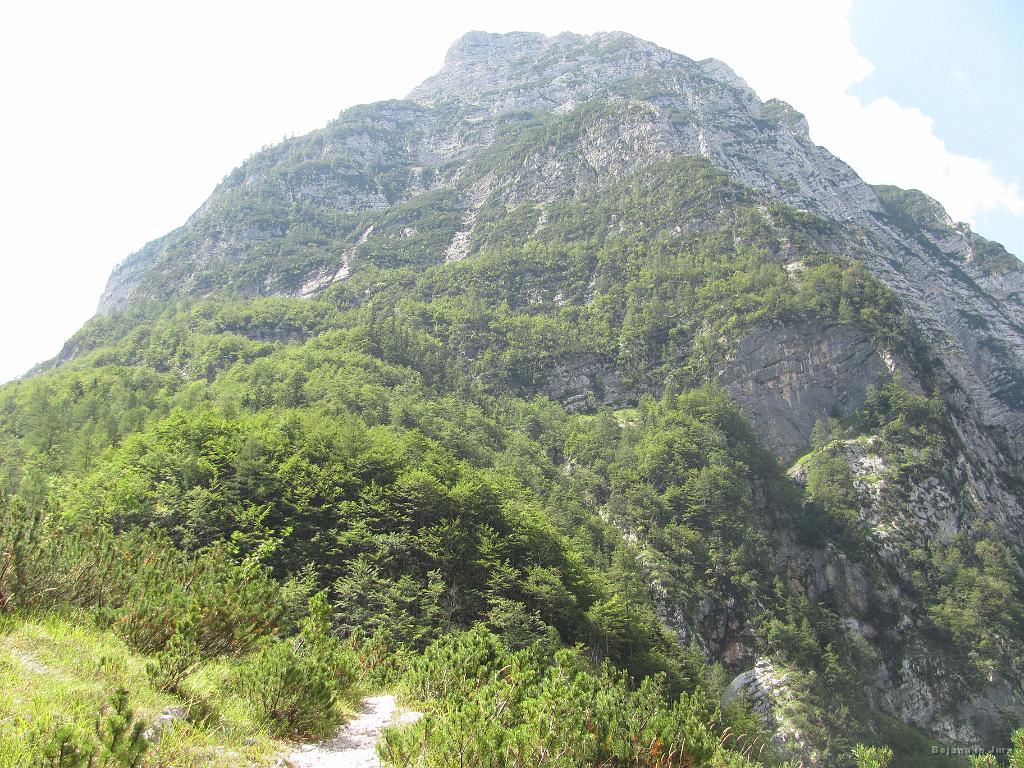 Slika_224.jpg - Zadnjiški Ozebnik od spodaj.
