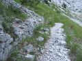 Slika_016
